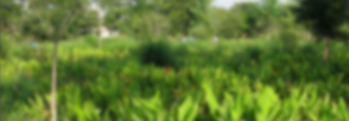 Soft daylight green and leaf-tone gradient, airy and open, suggesting shared gardens and conversation.